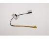 5C10S30070 Lenovo Displaykabel C 81XE