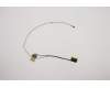 5C10S30107 Lenovo CABLE EDP Cable B 82C1