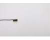 5C10S30123 Lenovo CABLE EDP Cable L 82FX for Glass