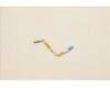 5C10S30355 Lenovo CABLE TP Board Cable L 82LX