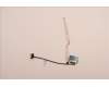 5C10S30443 Lenovo CABLE EDP cable H 21CX 40pinIRshort90HZ