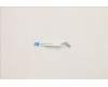 5C10S30446 Lenovo CABLE FP board Cable H 21CX