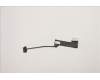 5C10S30463 Lenovo CABLE EDP cable W 82R7 OLED
