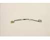 5C10S30549 Lenovo CABLE EDP Cable L 82SV 2.8 Mylar