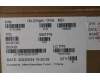 5C10S30558 Lenovo CABLE USB Board Cable L82TK
