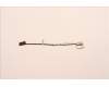 5C10S30609 Lenovo CABLE EDP Cable L 82UU 2.2K