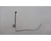 5C10S30712 Lenovo CABLE Cable L 82XR EDP MGE
