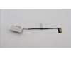 5C10S30737 Lenovo CABLE Cable L 83AQ EDP MGE