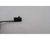 5C10S30742 Lenovo CABLE EDP cable C 82XD RGB30