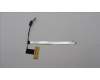 5C10S30746 Lenovo CABLE EDP cable C 82XD OLED