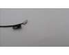 5C10S30746 Lenovo CABLE EDP cable C 82XD OLED