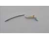 5C10S30780 Lenovo CABLE Cable L 21J8 SENSOR/B MGE