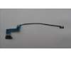 5C10S30806 Lenovo CABLE EDP CABLE L83BY MLED