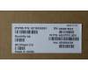 5C10S30891 Lenovo CABLE EDP cable W 21KJ WUX RGB