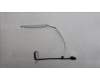 5C10S30891 Lenovo CABLE EDP cable W 21KJ WUX RGB