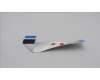 5C10S30896 Lenovo CABLE CABLE W 21KJ IO Cable
