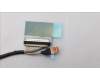5C10S30910 Lenovo CABLE CABLE L 83EF EDP LUXSHARE