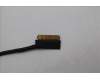 5C10S31004 Lenovo CABLE Cable L 83DN CAM/B MGE T