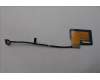 5C10S31006 Lenovo CABLE Cable L 83DN EDP MGE 32K