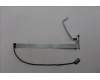 5C10S31012 Lenovo CABLE Cable L 83DN CAM/B NT MGE