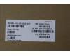 5C10S31017 Lenovo CABLE EDP cable 21KH WQX-120 IR
