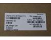 5C10S31111 Lenovo CABLE EDP cable W 21MR 2.8K IR