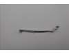 5C10S31164 Lenovo CABLE Cable L 21N9 FPR/B CVILUX