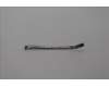 5C10S31164 Lenovo CABLE Cable L 21N9 FPR/B CVILUX
