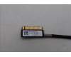5C10S31205 Lenovo CABLE EDP cable W 83J3