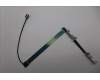 5C10S31324 Lenovo CABLE CAMERA CABLE L83HM_OLED