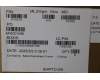 5C10S31361 Lenovo CABLE Cable L 83N3 M/B-FP/B MGE