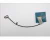 5C10S31533 Lenovo CABLE Cable L 83L0 LUXSHARE M/B-EDP