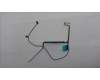 5C10S31604 Lenovo CABLE EDP cable W 21UY 5M TOUCH