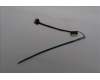 5C10S31621 Lenovo CABLE CABLE L 83UU LUXSHARE EDP CABLE