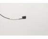 5C10S73171 Lenovo FRU-Kabel FP730 UHD-Kabel