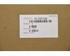 5C10S73195 Lenovo FRU-Kabel FE4A0 E/A-Kabel