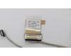 5C10T45075 Lenovo Displaykabel B 81M9