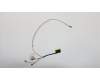 5C10T45075 Lenovo Displaykabel B 81M9