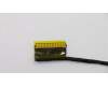 5C10T70506 Lenovo Displaykabel B 81M8