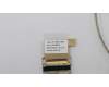 5C10T70506 Lenovo Displaykabel B 81M8