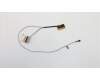 5C10T70506 Lenovo Displaykabel B 81M8