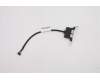 5C10U58186 Lenovo Kabel Fru 200mm hinteres USB 2.0 LP-Kabel