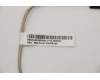 5C10U58268 Lenovo Hintergrundbeleuchtungs-Panel Kabel LG AIT