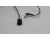 5C10U58344 Lenovo CABLE Fru255mm Red logo LED cable