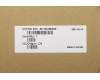 5C10U58354 Lenovo CABLE Fru 8p to 6p and 6+2p 250mm Cable