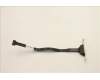 5C10U58432 Lenovo CABLE Fru LPT Cble 300mm w_ ESD_ HP_TCO8