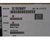 5C10U58457 Lenovo CABLE Fru 250mm P520 refresh cable_TCO8