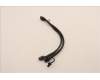 5C10U58457 Lenovo CABLE Fru 250mm P520 refresh cable_TCO8