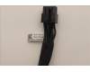 5C10U58457 Lenovo CABLE Fru 250mm P520 refresh cable_TCO8