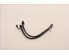 5C10U58457 Lenovo CABLE Fru 250mm P520 refresh cable_TCO8